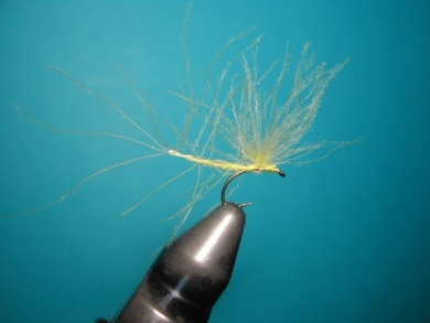 Fly tying - Mirage 5  - Step 11