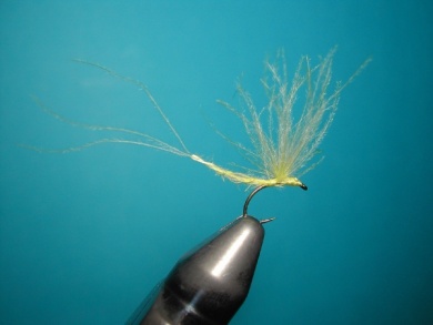 Fly tying - Mirage 5  - Step 12