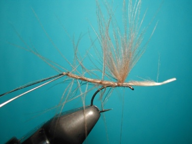 Fly tying - Mirage 5  - Step 6