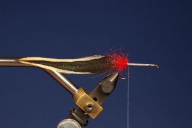 Fly tying - M.M. INJURED MINNOW - Step 4