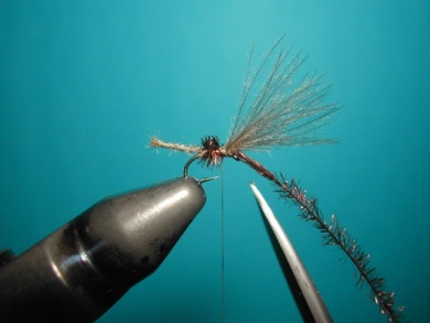 Fly tying - Midge - Step 7