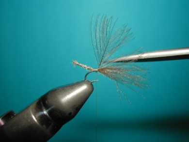 Fly tying - Midge - Step 5