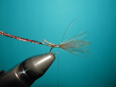 Fly tying - Midge - Step 6