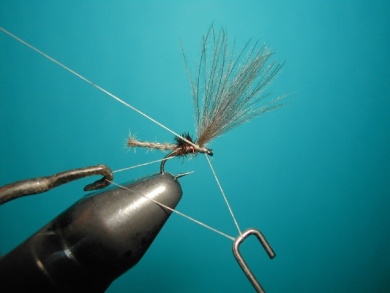 Fly tying - Midge - Step 8