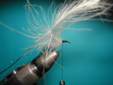 Fly tying - CDC sparkle pupa - Step 3