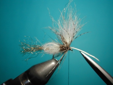 Fly tying - CDC sparkle pupa - Step 11
