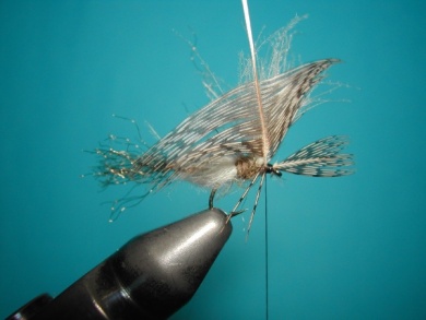 Fly tying - CDC sparkle pupa - Step 10