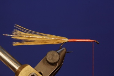 Fly tying - Booby Nymph - Step 2
