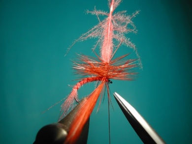 Fly tying - Emerger - Step 7