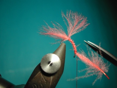 Fly tying - Emerger - Step 4