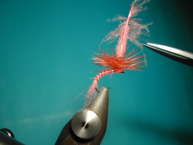 Fly tying - Emerger - Step 9