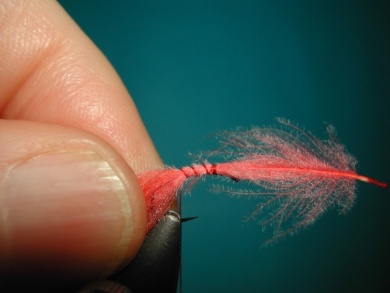 Fly tying - Emerger - Step 2