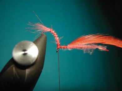 Fly tying - Emerger - Step 5