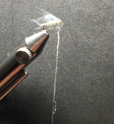 Fly tying - Ghost Loopwing Emerger ( PMD/Sulpher ) - Step 8