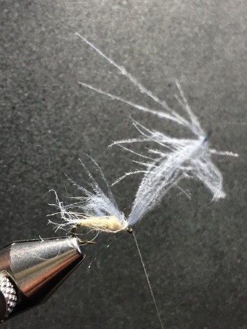 Fly tying - Ghost Loopwing Emerger ( PMD/Sulpher ) - Step 7