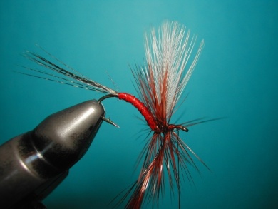 Fly tying - Hook bent fly - Step 12