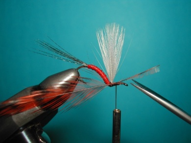 Fly tying - Hook bent fly - Step 11