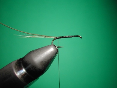 Fly tying -  CDC May fly Spent - Step 1