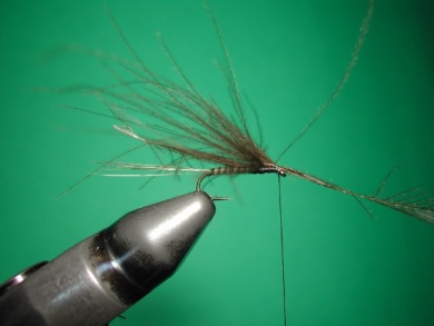 Fly tying -  CDC May fly Spent - Step 4