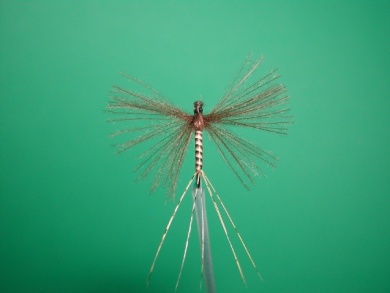 Fly tying -  CDC May fly Spent - Step 11