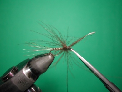 Fly tying -  CDC May fly Spent - Step 8