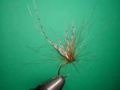Fly tying - May fly partridge and CDC - Step 8