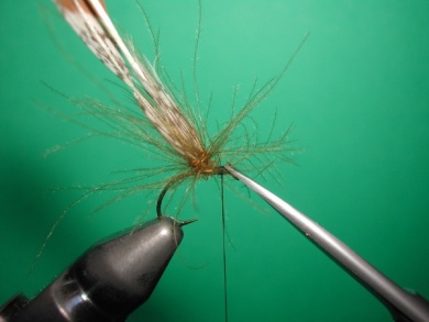 Fly tying - May fly partridge and CDC - Step 5