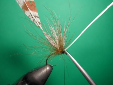 Fly tying - May fly partridge and CDC - Step 6