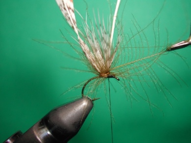 Fly tying - May fly partridge and CDC - Step 4