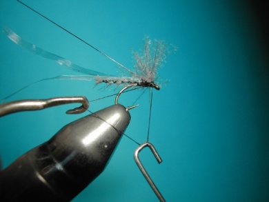 Fly tying - Midge with synthetic raffia wings. - Step 7