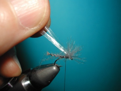 Fly tying - Midge with synthetic raffia wings. - Step 5