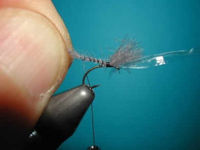 Fly tying - Midge with synthetic raffia wings. - Step 3
