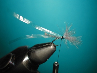 Fly tying - Midge with synthetic raffia wings. - Step 6