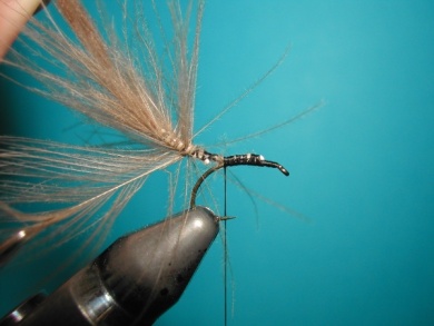 Fly tying - CDC Ant extended body - Step 5