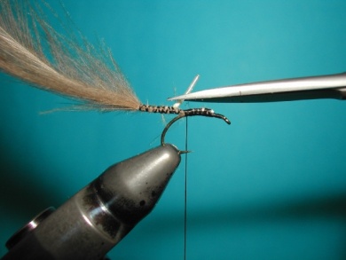 Fly tying - CDC Ant extended body - Step 4
