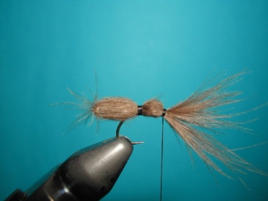 Fly tying - CDC Ant extended body - Step 10