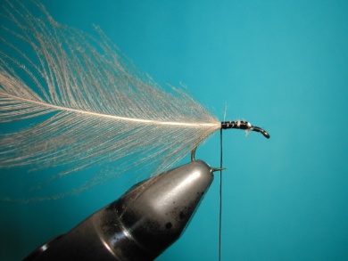 Fly tying - CDC Ant extended body - Step 1