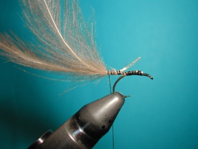Fly tying - CDC Ant extended body - Step 2