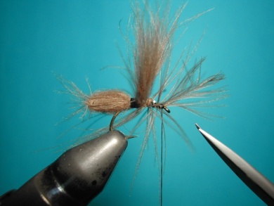 Fly tying - CDC Ant extended body - Step 9
