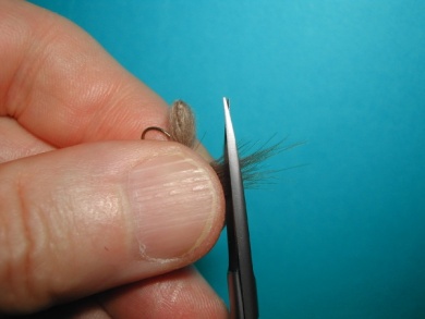 Fly tying - CDC Ant extended body - Step 12