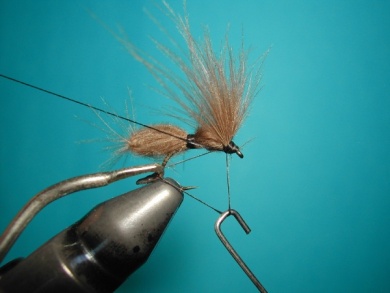 Fly tying - CDC Ant extended body - Step 11