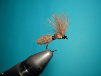 Fly tying - CDC Ant extended body - Step 13