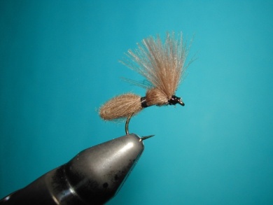 Paso a paso - CDC Ant extended body - Paso 13