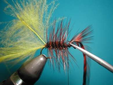 Fly tying - Palmer - Step 5