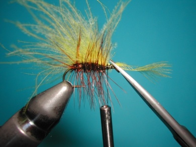 Palmer - Fly Tying tutorials | Fly dreamers