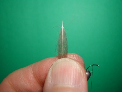 Fly tying - Midge with stripped peacock body. - Step 1
