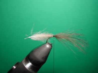 Fly tying - Midge with stripped peacock body. - Step 2
