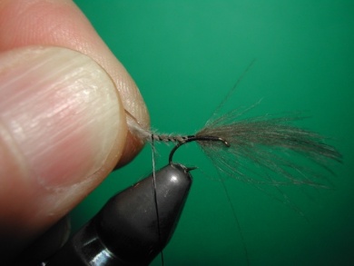 Fly tying - Midge with stripped peacock body. - Step 4