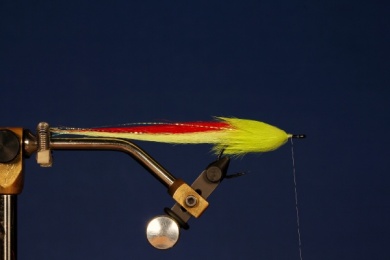 Fly tying - CRAFTBUNNY MINNOW - Step 4