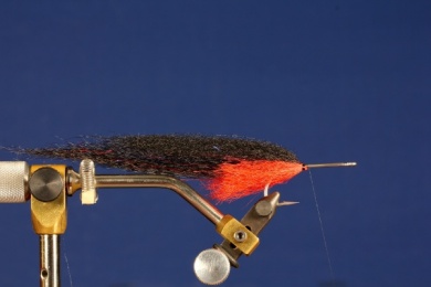 Fly tying - BLACK WIDOW - Step 6